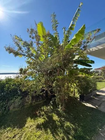 Appartamento Kinkela *